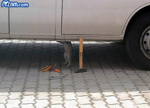 catmechanic