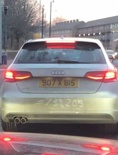 cal_audi