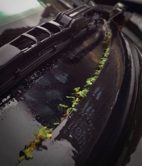 car_green