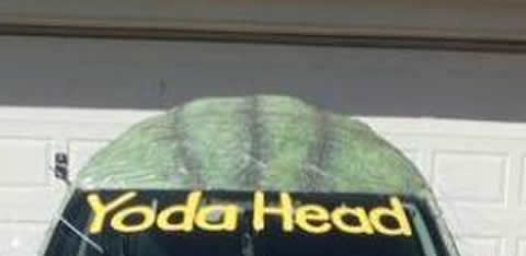 yoda_head_s