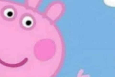 pig_turbine_s