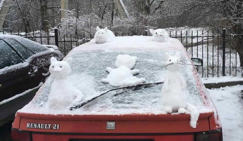 snow_cat