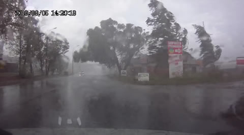 Huge Tree Falls over Road in Storm