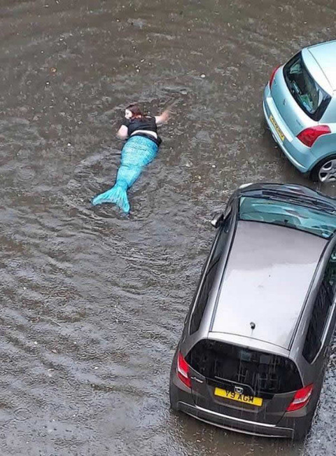 marmaid