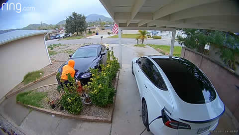 Delivery Runaway Lexus Rolls into Garden