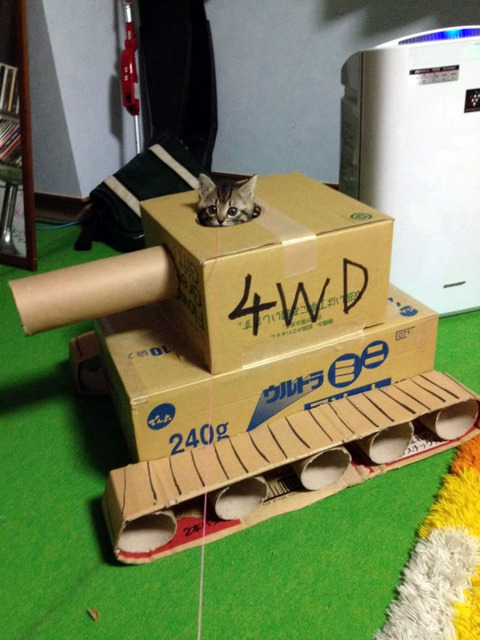 cat_tank