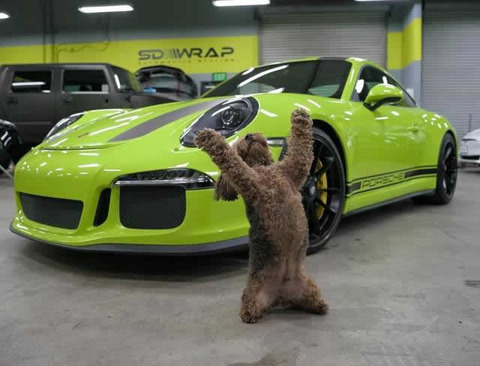buy_porsche