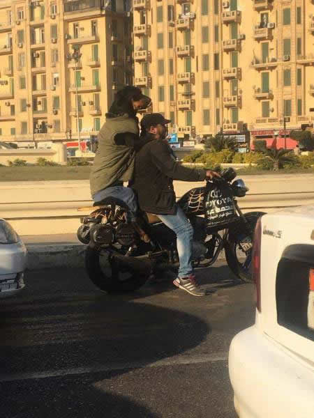 dog_tandem