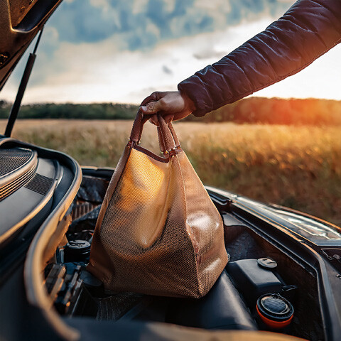engine_in_bag