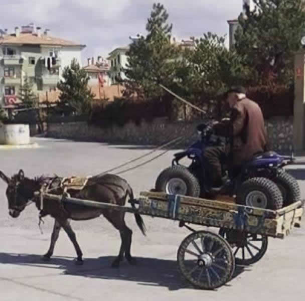 画像 ロバ馬車 Turbo Bee 自動車 バイク動画のターボビー