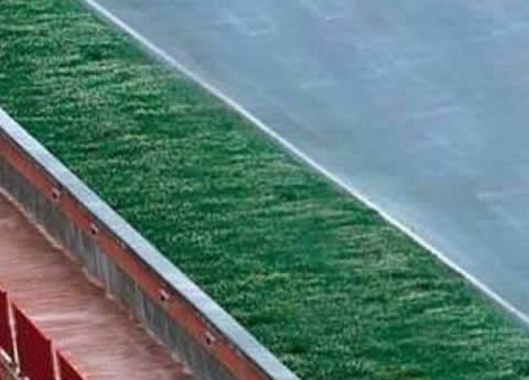 【画像】整列フェラーリ