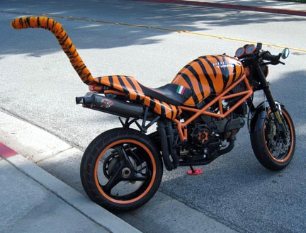 ducatiger