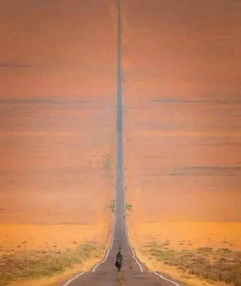 whatisthis