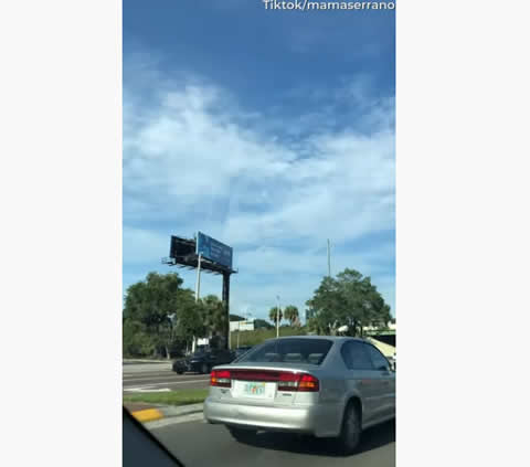 Bird Catches a Ride on Car Rooftop