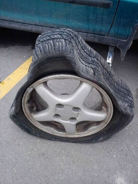 gnya_tire