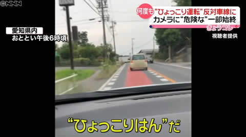hyokkori3