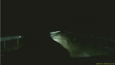 Bear Lunges at Car during Nighttime Drive