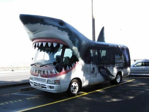 shark_bus