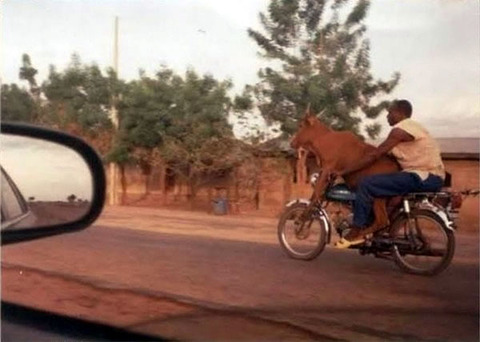 motorcycle