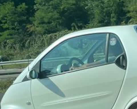 6wheel_smart_s