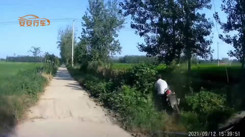 china_crash202109013