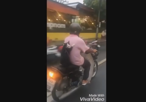 Adorable Cat Riding Motorcycle