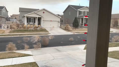 Tumbleweed Tidal Wave