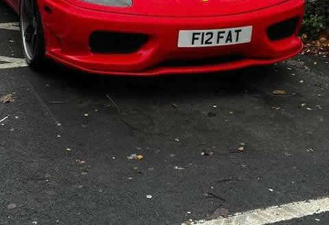 f12_fat_s