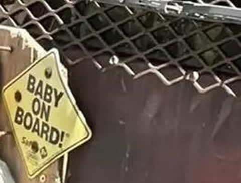【画像】BABY ONBOARD