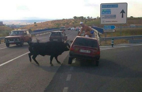 bull_attack