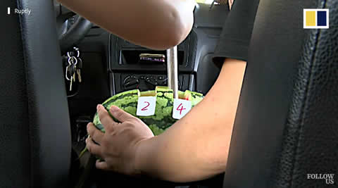 Chinese driving instructor’s ‘fruit gearbox’