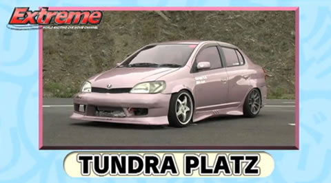 tundra_platz