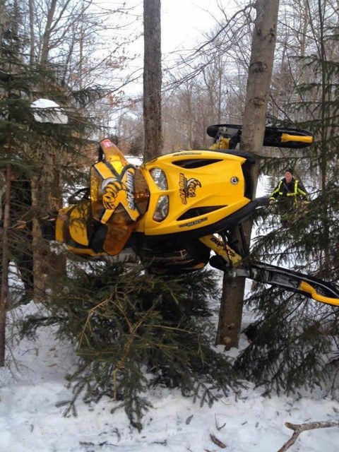 snowmobile_tree
