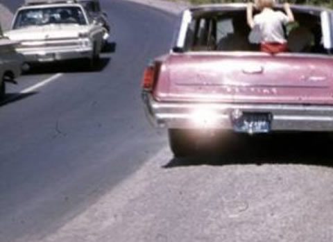 Parent and child bear_s