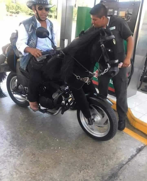 horse_bike