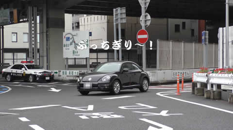 bucchi_beetle