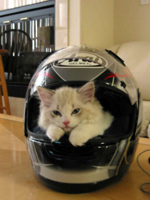 arai_helmet