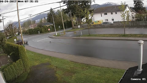 squirrel almost hit by car