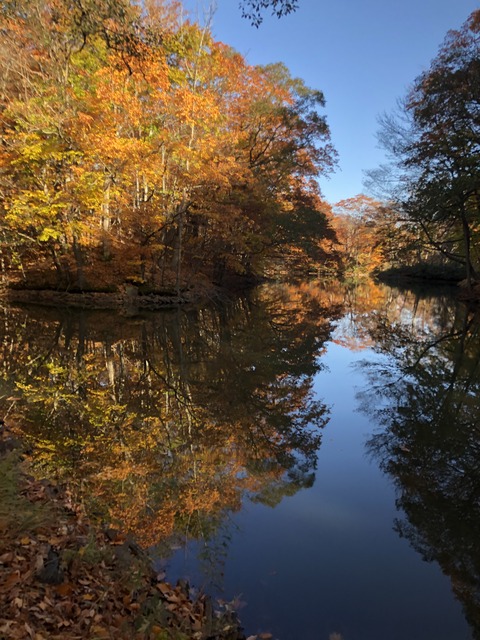 31ED380C-08CB-477E-8D64-7FAB383C26D1