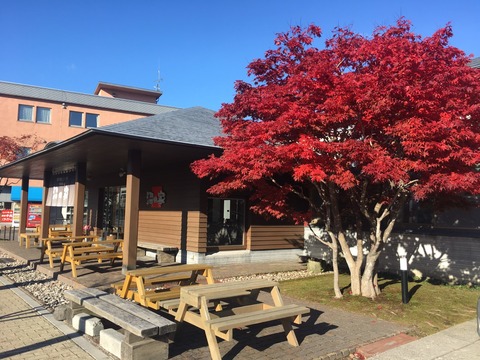 BAD7A958-28F4-40F9-8016-6A62D0E707BE