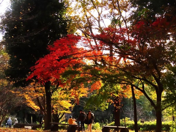 9夕陽を見つめる