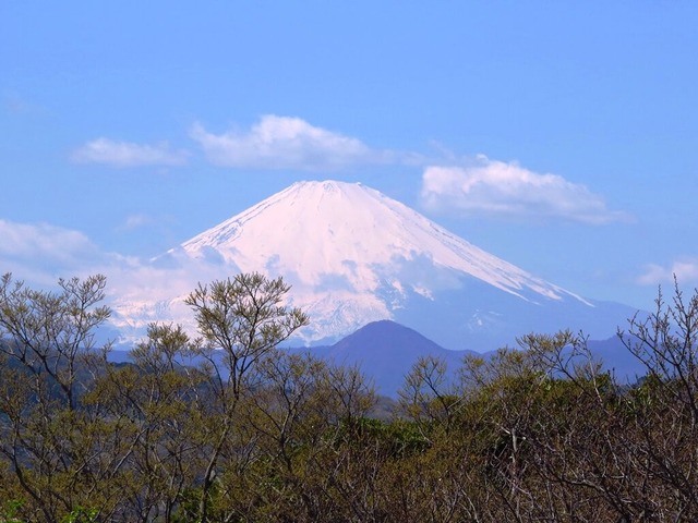 14富士山