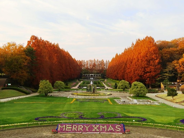 17相模原公園