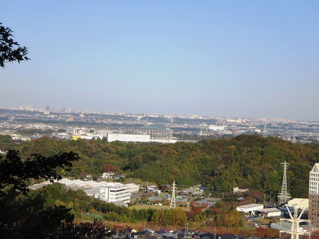 七沢森林公園 : 徒然散歩