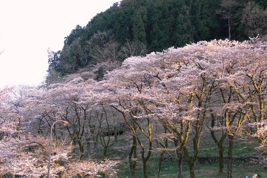 2津久井湖