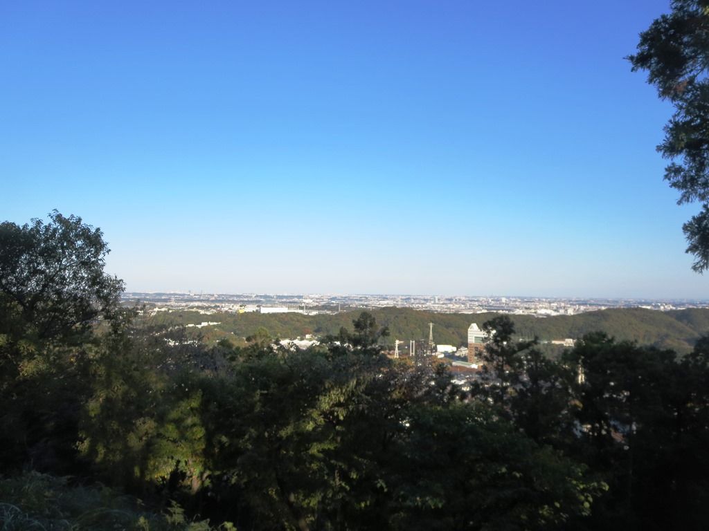 七沢森林公園 : 徒然散歩