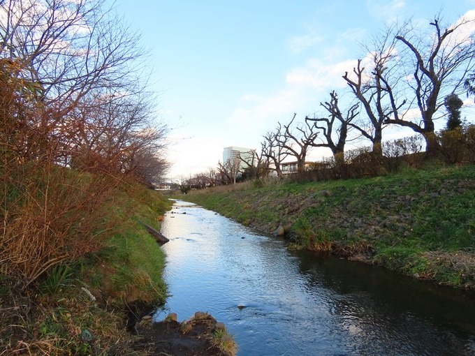 15鳩川