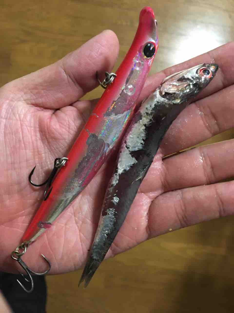 激荒れサーフであのサカナ まずめな釣り師の釣行記 激荒れサーフであのサカナ まずめな釣り師の釣行記