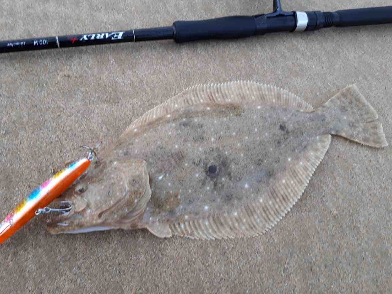 お気に入りのシンペン（サーフ用） : まずめな釣り師の釣行記