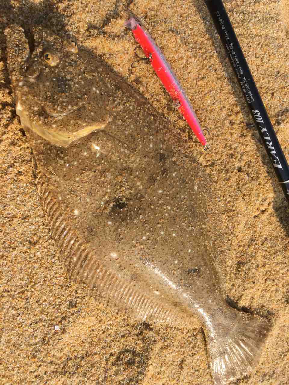 ヤマガブランクス アーリー103Mインプレ : まずめな釣り師の釣行記 ヤマガブランクス アーリー103Mインプレ : まずめな釣り師の釣行記